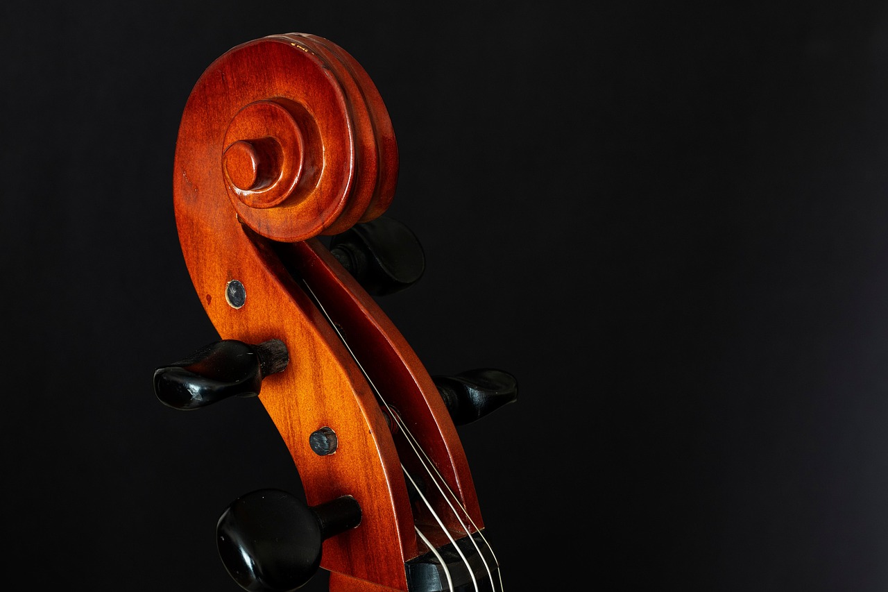 《 JCZ 企画 12 月イベント:mitSpass 2025「第2回 響きのキャンバス ー チェロと絵画」》